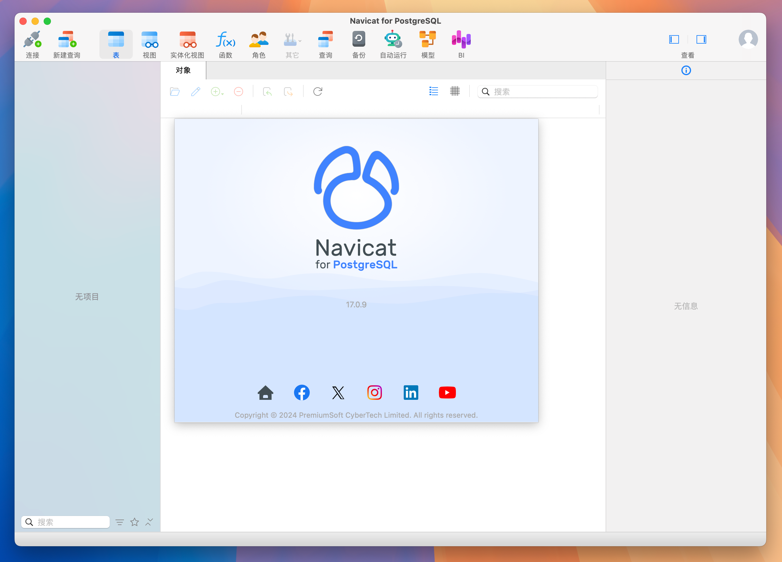 Navicat for PostgreSQL for Mac v17.0.9 数据库管理系统软件 免激活下载-1