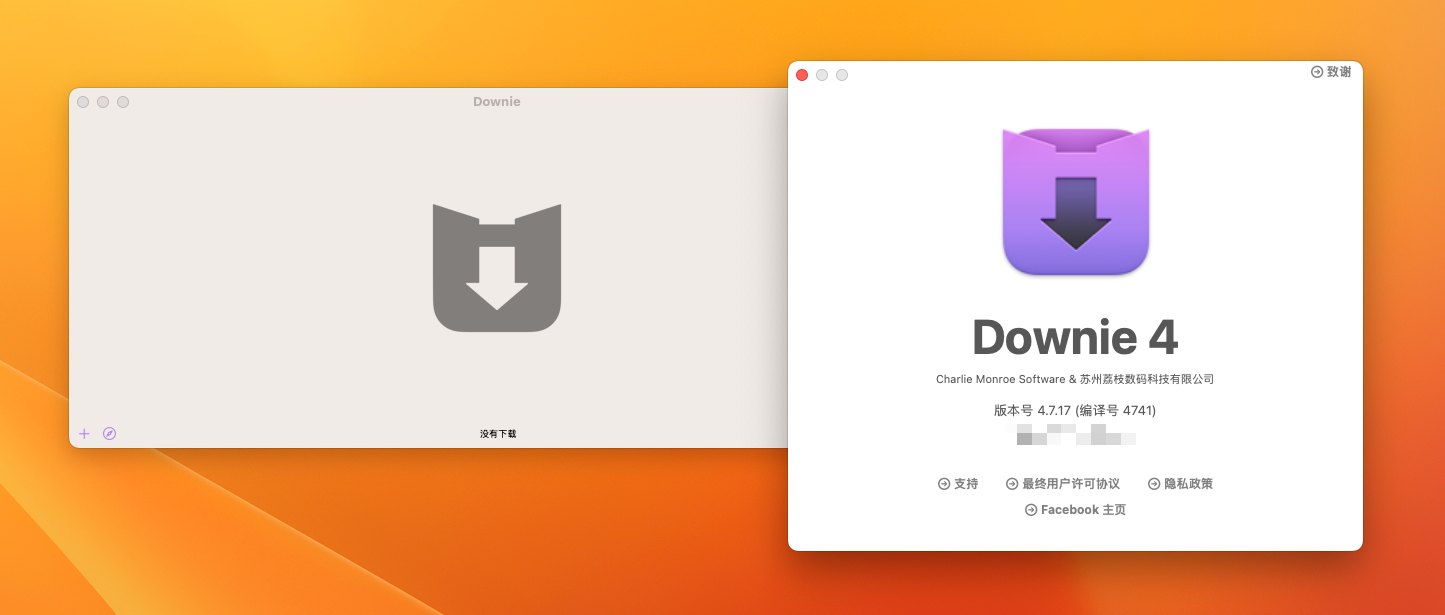 Downie 4 for Mac v4.7.17 视频下载工具 免激活下载-1