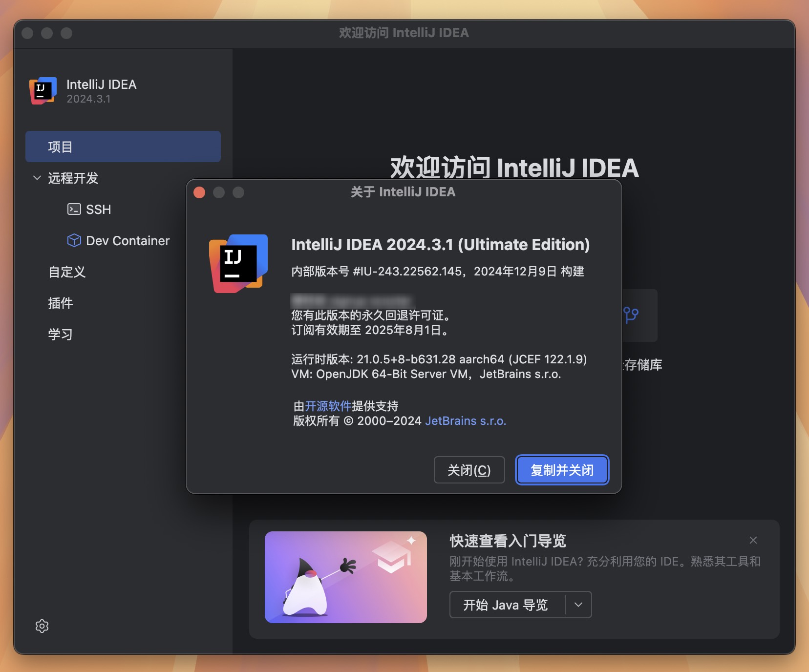 Intellij IDEA for Mac v2024.3.1 Java语言开发集成环境 免激活下载-1