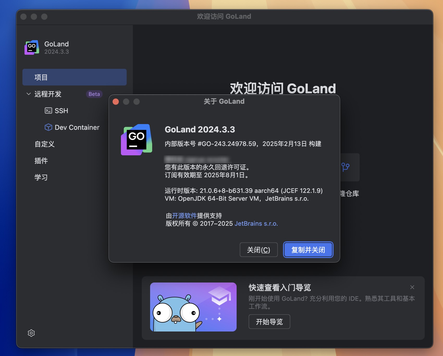 GoLand for Mac v2024.3.3 GO语言集成开发工具环境 免激活下载-1